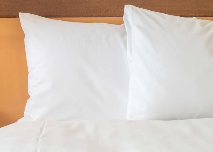 Express - Est By Ihg Hotel Toulon